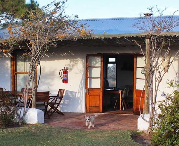 Bed and Breakfast !Khwa Ttu à Swartwater Extérieur photo